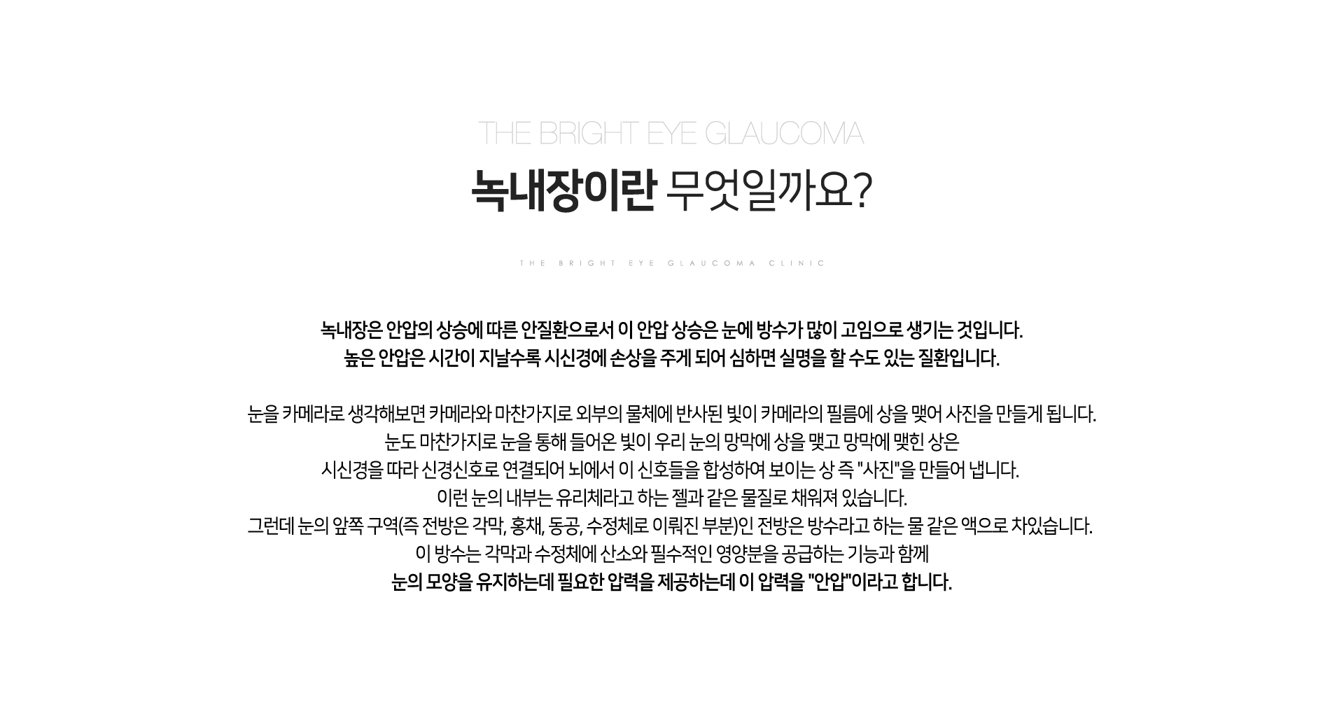 녹내장