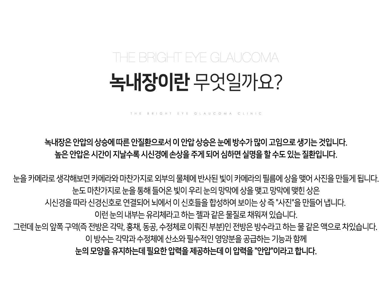 녹내장
